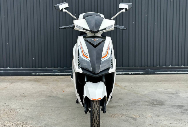 SOKMOTO WOLF 